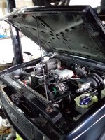 20190318_165547.jpg