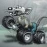 rodent