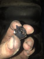 CQFD4052[1].JPG